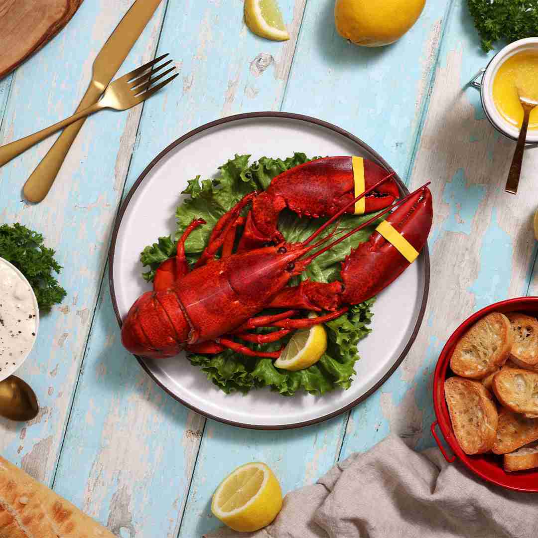 BRAND, CATEGORY, MAINE LOBSTER NOW, Live Lobster