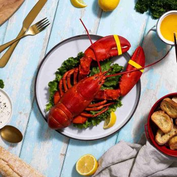 BRAND, CATEGORY, MAINE LOBSTER NOW, Live Lobster