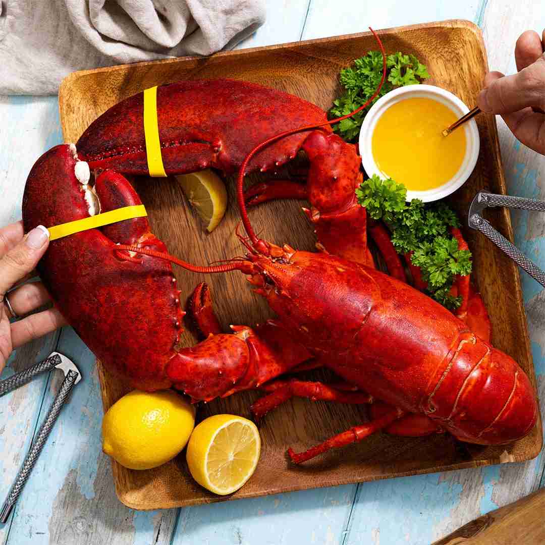 3 lb Live Maine Lobster