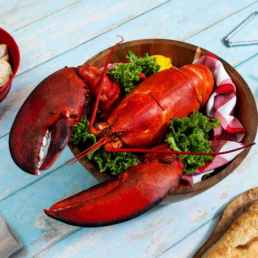 4 lb – 6 lb Live Canadian Lobster