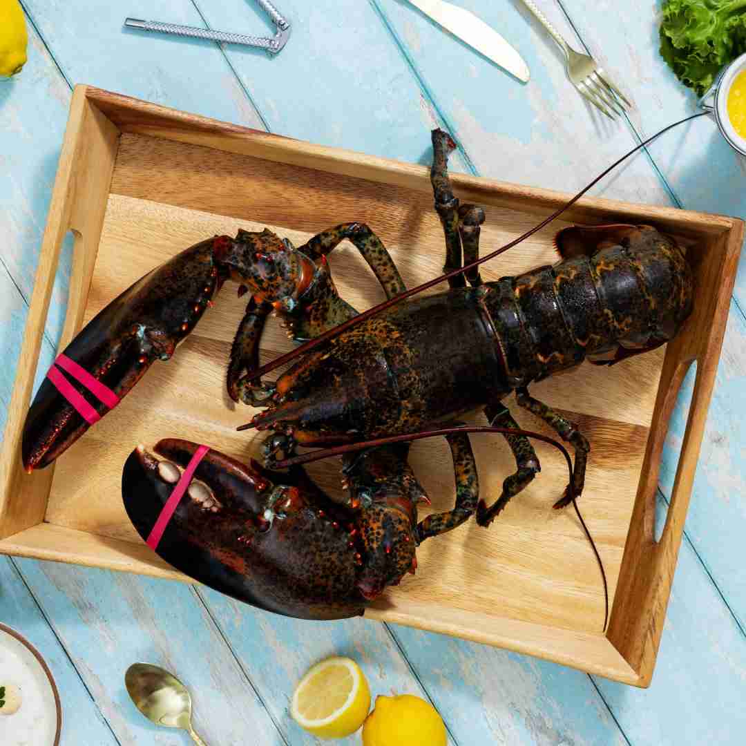 6 lb – 8 lb Live Canadian Lobster