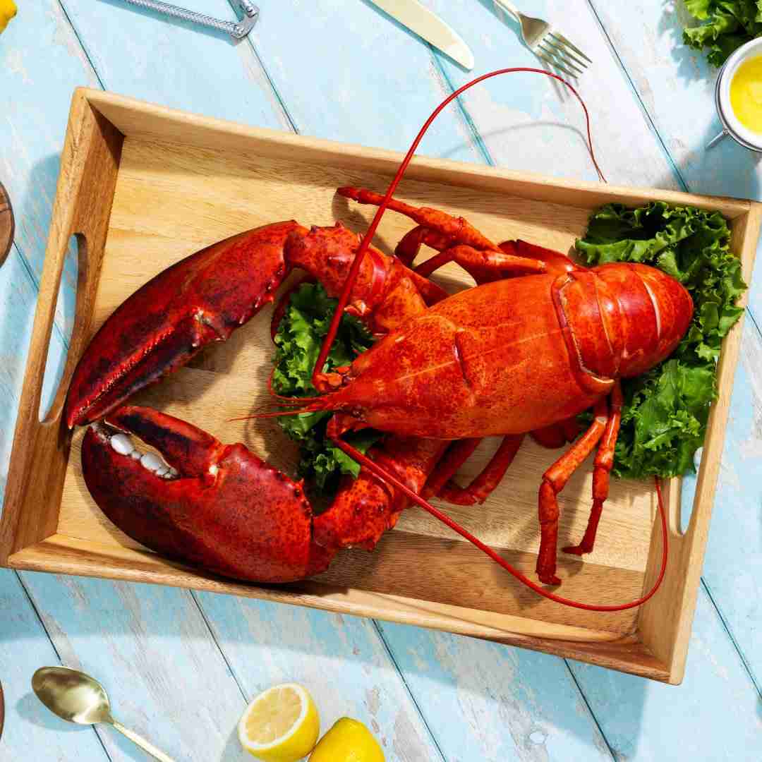6 lb – 8 lb Live Canadian Lobster