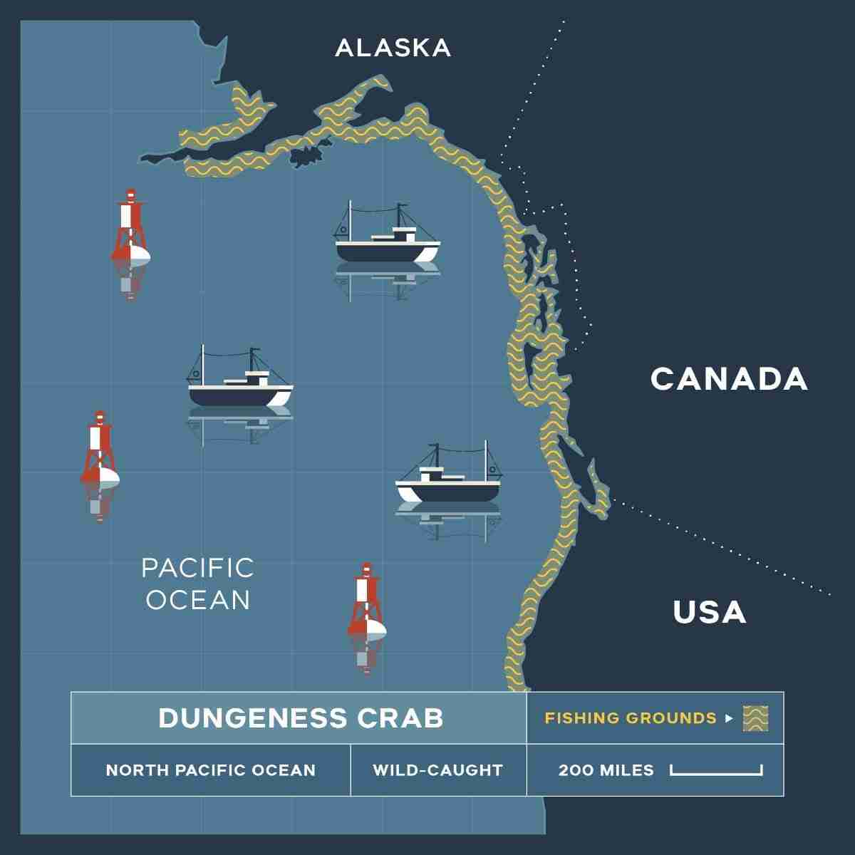 Dungeness Crab Meat – 1 lb.