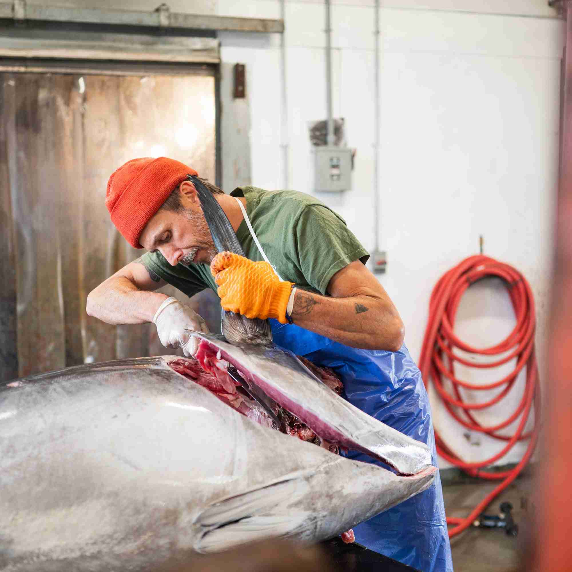 Fresh Maine Bluefin Tuna Loin