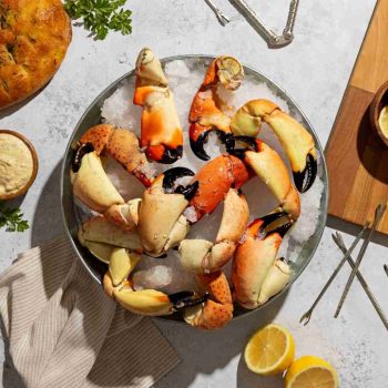 BRAND, CATEGORY, MAINE LOBSTER NOW, Stone Crab