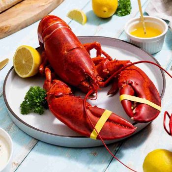 BRAND, CATEGORY, LOBSTER DINNERS, MAINE LOBSTER NOW, Live Surf And Turf Dinner