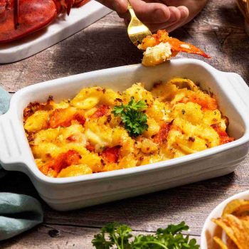 BRAND, CATEGORY, GOURMET, MAINE LOBSTER NOW, Lobster Mac & Cheese