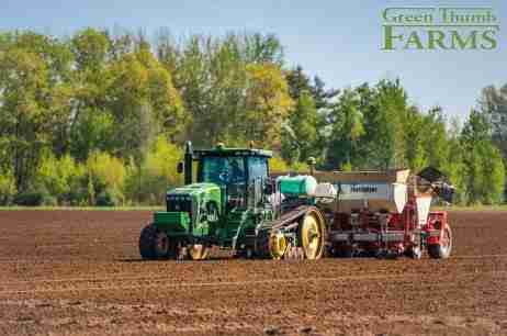 Maine Grown Red Potatoes – 1 lb